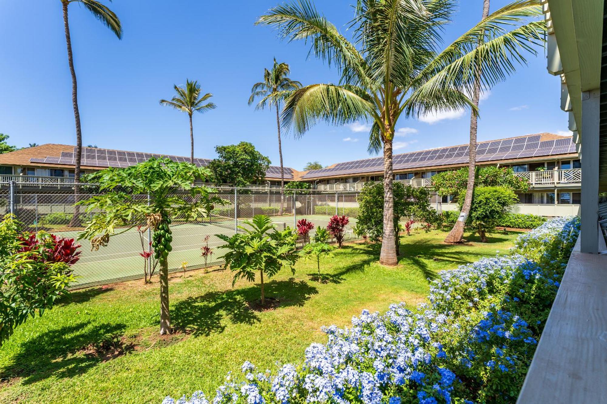 Kihei Bay Surf D142 A Safe Place To Stay Exterior foto